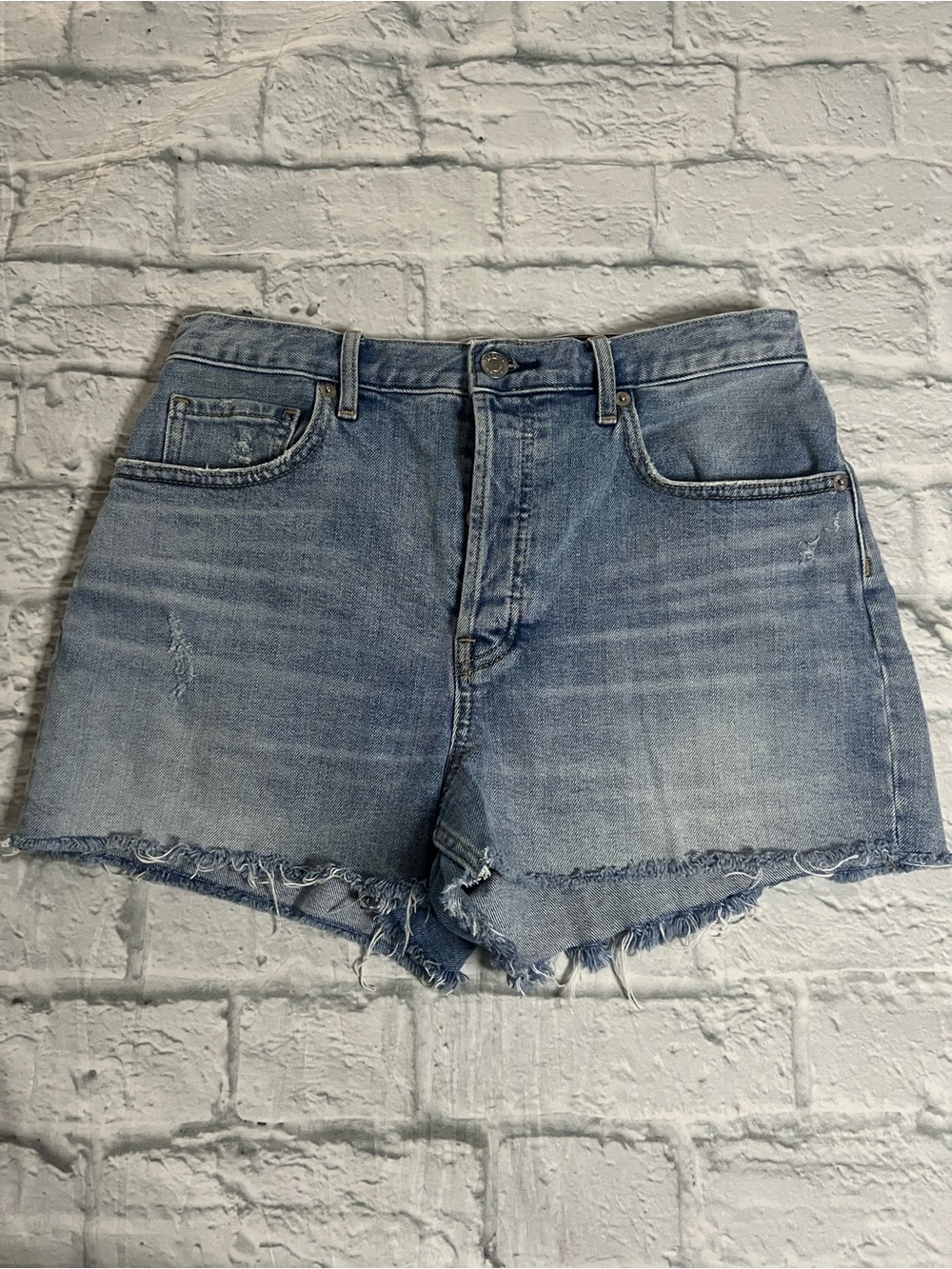 Everlane Cheeky Short High Rise Raw Hem Light Wash